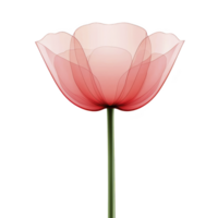 Delicate, translucent pink flower with layered petals and slender green stem, resembling poppy, is depicted against transparency background, showcasing its elegant simplicity png