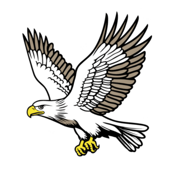 Stylized illustration of eagle in flight, showcasing its powerful wings and sharp talons. eagle beak and talons are highlighted in yellow, adding contrast to overall design png