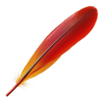 Vibrant red and orange feather with smooth texture and delicate barbs, isolated on transparency background, evokes sense of elegance and nature beauty png