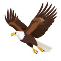 Majestic bald eagle with outstretched wings soars gracefully through sky, showcasing its powerful talons and sharp beak. bird striking white head contrasts with its dark brown body png