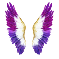 Vibrant purple and white angel wings with golden accents create striking and ethereal appearance. feathers are intricately detailed, showcasing blend of colors png