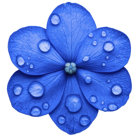 Vibrant blue flower with delicate petals is adorned with glistening water droplets, creating fresh and serene appearance. close up view highlights intricate texture and natural beauty png