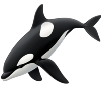 Digital illustration of orca whale, showcasing its distinctive black and white pattern, swimming gracefully. image captures elegance and power of this majestic marine mammal png