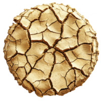 Cracked, dry, circular piece of earth resembling parched desert surface, showcasing effects of drought and arid conditions. texture is rough and fragmented, highlighting environmental challenges png