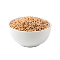 A white ceramic bowl filled with whole wheat grains showcasing their natural golden brown color and texture isolated on transparent background png