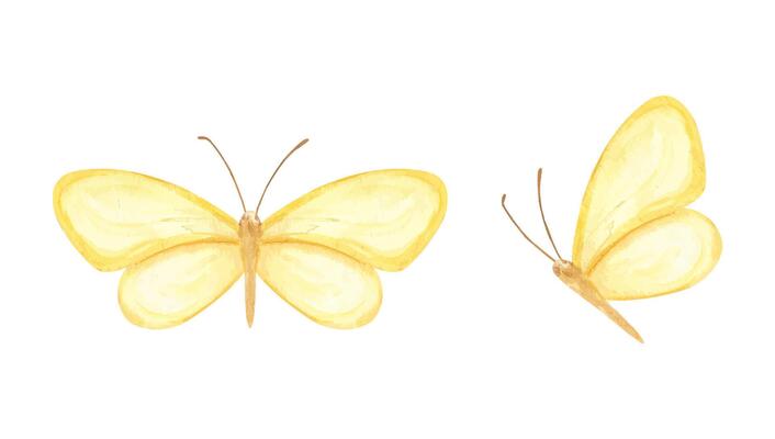 Two dreamy abstract yellow butterflies in flight watercolor clip art isolated background. Hand painted ethereal insect for nursery decor, wedding stationery, fashion textile, spring design