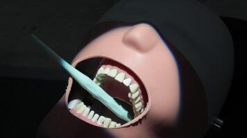 Dental Training Mannequin with Open Mouth and Tool Inserted for Clinical Simulation Procedure video