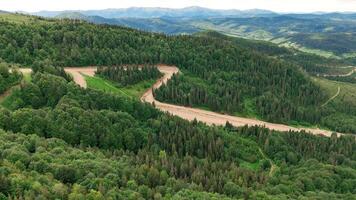 Winding dirt road cutting through dense green Carpathian forest in aerial view, scenic rural mountain landscape with conifer trees and natural curves on summer video