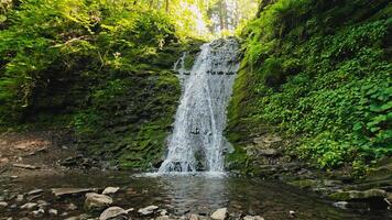 Natural forest waterfall cascading over moss-covered rocks into clear shallow pool, surrounded by lush greenery in peaceful mountain landscape during summer video