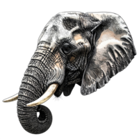 Detailed Portrait of an African Elephant Head png
