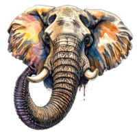Watercolor Elephant Head Illustration with Vibrant Colors png