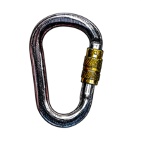 Metal Carabiner with Gold Locking Mechanism Illustration png
