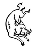 Razorback or Wild Boar Jumping Front Retro Woodcut vector