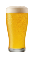 Refreshing glass of cold beer with foam on top png
