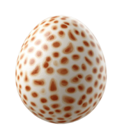 Speckled dinosaur egg with unique brown patterns png
