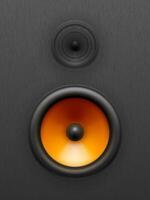 Orange woofers in a black speaker vector