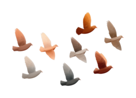 Stylized birds in flight with gradient feather patterns png