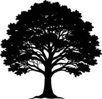 Majestic Silhouette of a Large Leafy Tree with Detailed Branches and Canopy Elegant Nature Illustration vector