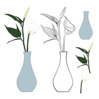 Stylish calla lily vase design vector