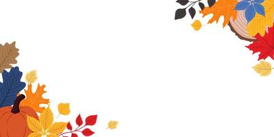 autumn fall background with various autumn leaves decoration vector