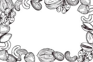 Rectangular frame of nuts, walnuts, almonds, cashews. All objects are hand-drawn in ink. The illustration is suitable for the decoration of the packaging of nuts, other food and cosmetics vector