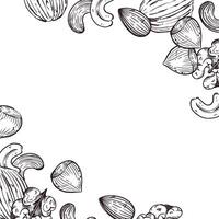 frame of nuts, hazelnuts, cashews, walnuts, almonds, all objects are hand-drawn with ink. The illustration is suitable for printing on fabric, paper, kitchen towels, tableware decor vector