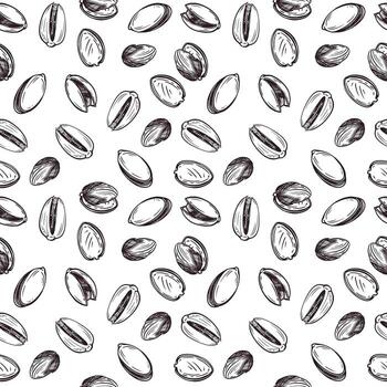 Seamless pattern. Pistachio nuts in the shell and without the shell. All objects are hand-drawn in . The illustration is suitable for printing on fabric, paper, product packaging design vector