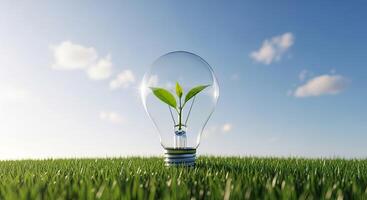 Lightbulb with a green plant inside sits in a field of grass image photo