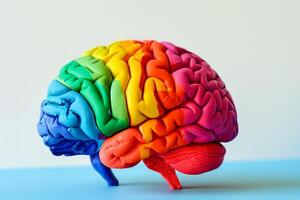 A colorful brain model with a rainbow of colors photo