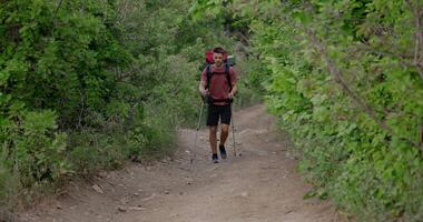 Man hiker trekking through forest path with backpack video