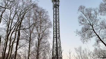 A Cell Tower is Surrounded by Lush Trees Beneath a Clear and Beautiful Sky Above photo