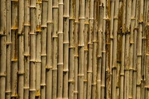 A close up of a bamboo wall with many different types of wood photo
