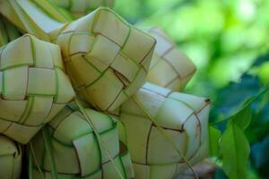 Close Up of Woven Palm Leaf Packets in a Natural Setting photo