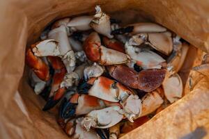 Close-up of a plate with fresh boiled Arctic crab claws, a luxurious and sought-after seafood delicacy, ready to be served. This gourmet dish is popular in fine dining and seafood restaurants. photo