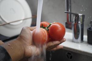 Fresh tomatoes being washed in the kitchen sink photo