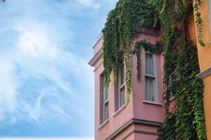 Vibrant building with lush green vines in urban setting photo