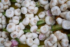 Fresh garlic bulbs stacked for sale at a market stand photo