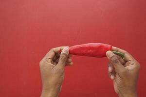 Hands holding a red chili pepper against a red background photo