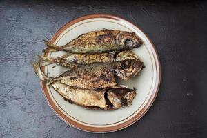 Fried mackerel fish ikan kembung goreng isolated on brown background photo