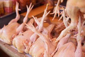 fresh cut chicken at traditional market photo