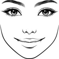 A woman's face with eyes and eyebrows vector