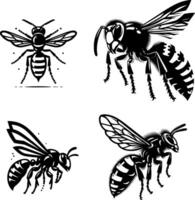 Four different types of bees and wasps vector
