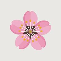 Flat Cherry Blossom Illustration in Pink Shades Beautiful Sakura Flower Design Perfect for Spring, Nature, Greeting Cards, Decoration, or Japanese Themes. vector