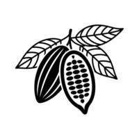 Cocoa beans and leaves icon illustration vector