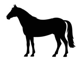 A silhouette of a horse standing on a white background vector
