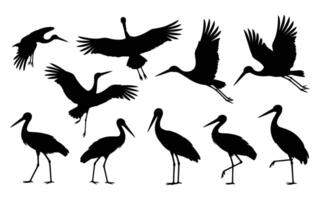 Silhouettes of birds in flight vector