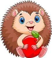 Illustration of Cute hedgehog cartoon smiling while holding an apple vector