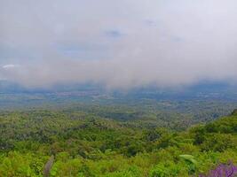 Misty Mountain Vista Panoramic View of Lush Green Valley and Distant Cityscape Under a Cloudy Sky photo