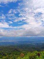Expansive Vista Lush Forest, Distant Cityscape, Dramatic Sky with Clouds photo
