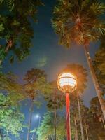 Illuminated Palm Trees and Lantern at Night Serene Urban Landscape. photo